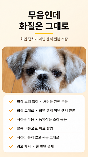 무음카메라: 화질 손해 없는 고화질 촬영 Screenshot 1