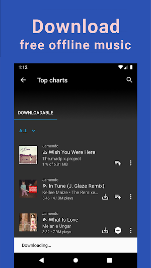 MP3 Music Downloader Song Screenshot 1
