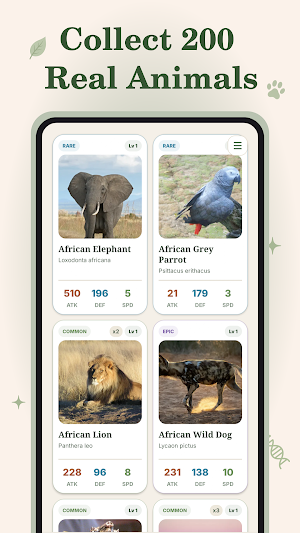 Animal Gacha: Wildlife Cards Screenshot 1