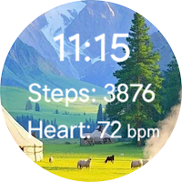 Peak Motion Watch