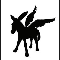 Juan's Flying Burrito