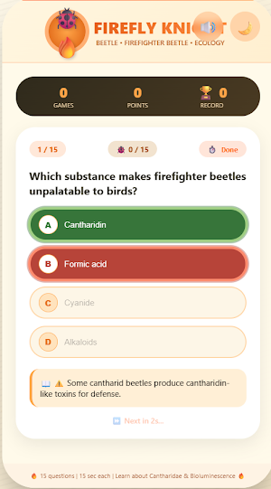 Firefly Knight: Beetle Quiz Screenshot 1