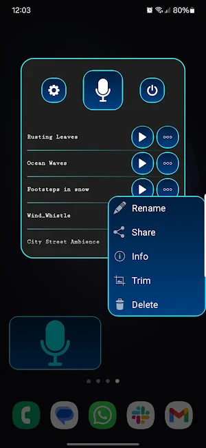 Tiny Voice Recorder Screenshot 1