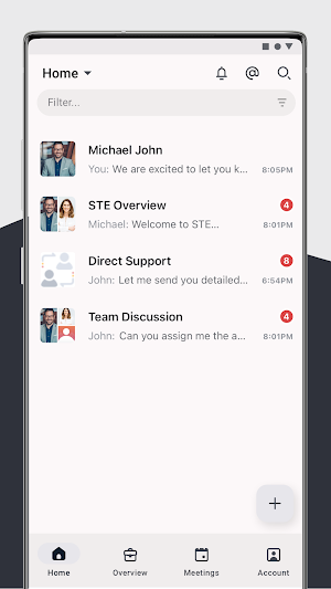 STE Portal Screenshot 3