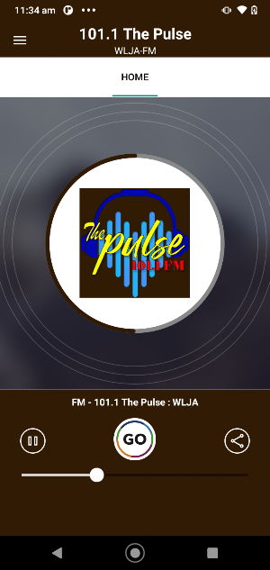 Pulse Radio Screenshot 0