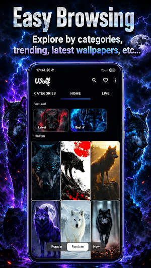 Live Wolf Wallpapers - 4K Screenshot 3