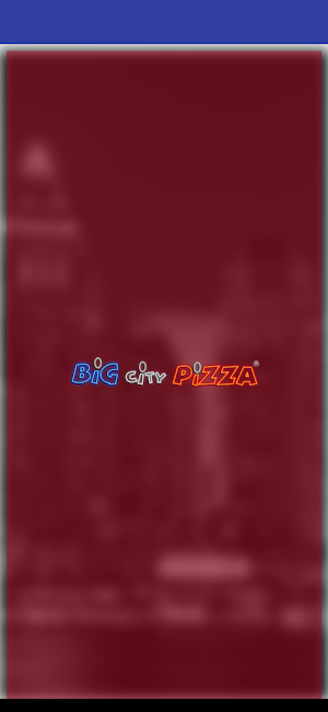 Big City Pizza Screenshot 1