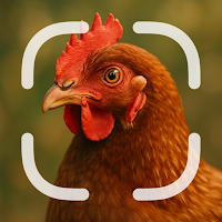 Chicken Identifier