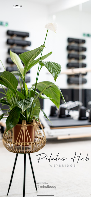 Pilates Hub Weybridge Screenshot 0