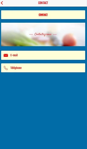 CSE PSA POISSY Screenshot 2
