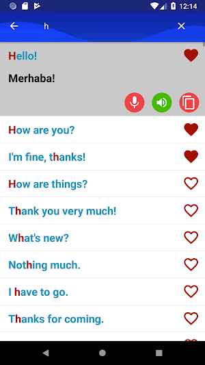 Learn Turkish Fast and Free Screenshot 2