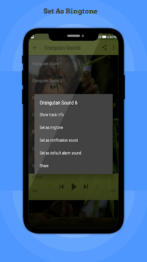 Orangutan Sounds Screenshot 3