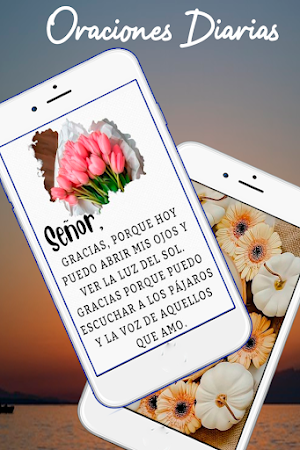 Frases Cristianas para Todo Screenshot 1