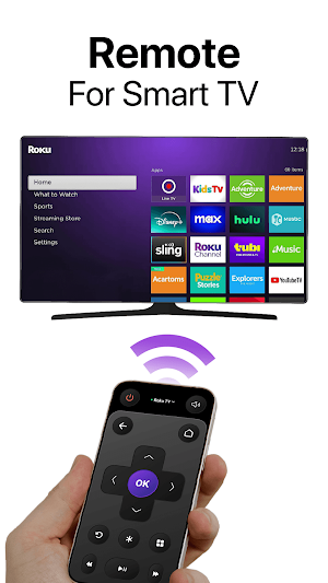 Universal TV Remote for Roku Screenshot 1