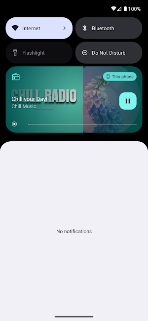 Chill Radio Screenshot 3