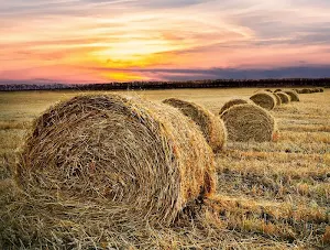 Farming wallpapers Screenshot 0