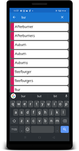 English To Burmese Dictionary Screenshot 0