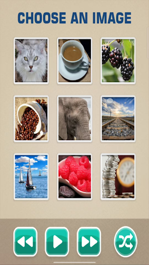 PictureSlide Puzzle Screenshot 2