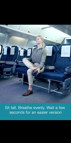 Fit For Flight Screenshot 1