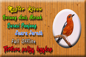 Suara Burung Anis Merah MP3 Screenshot 0