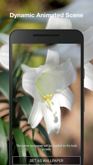 Easter Lilies Live Wallpaper Screenshot 1