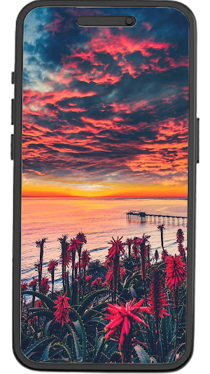 California Wallpapers Screenshot 1