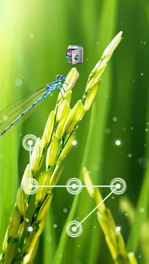 AppLock Live Theme Paddy – Paid Theme Screenshot 0