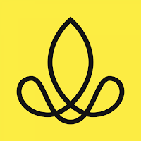 Sense Company