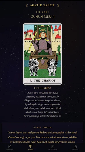 Mistik Tarot Okuma Screenshot 2
