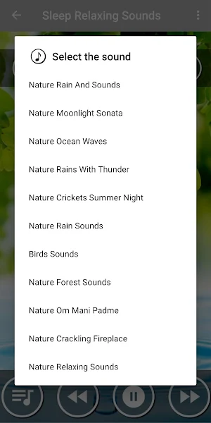 Deep Sleep Relaxing Music Screenshot 1