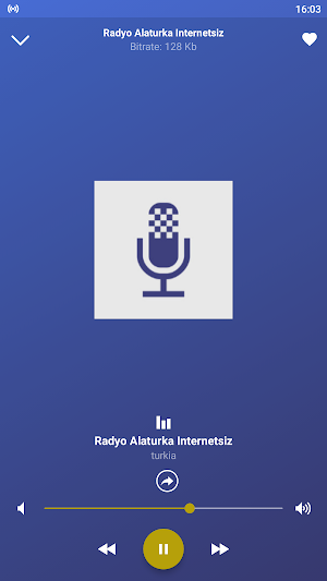 radyo alaturka internetsiz Screenshot 0