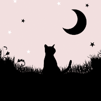 Cute Wallpaper Moonlight Cat