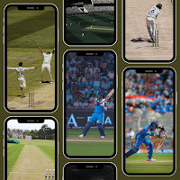 Cricket Fever wallpaper 4K