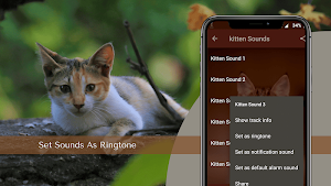 Cat Sounds - Cat Meow Sounds Ringtones Screenshot 3