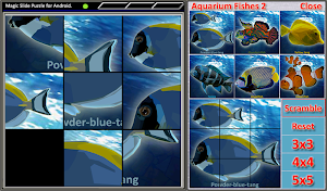 Magic Slide Puzzle A Fishes 2 Screenshot 0