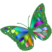 Butterflies:Encyclopedia.Description,Photo,Offline