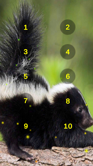 Skunk And Skunky Smell Sounds Screenshot 0