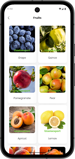 UzAsiaExport Screenshot 1