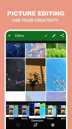 NovaGallery Screenshot 1
