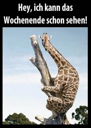 Lustige Bilder Kostenlos für Whatsapp 😀😁😂 Screenshot 3