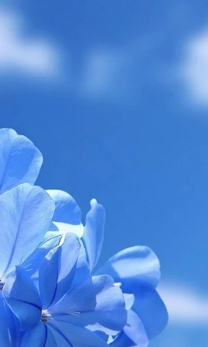Wallpapers Windows style HD Screenshot 2
