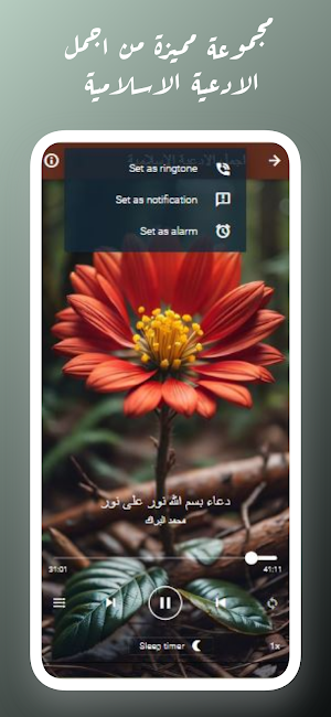القران بصوت حسن صالح بدون نت Screenshot 1