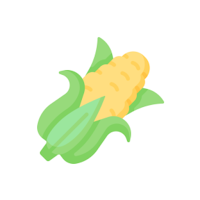 MaizeEx