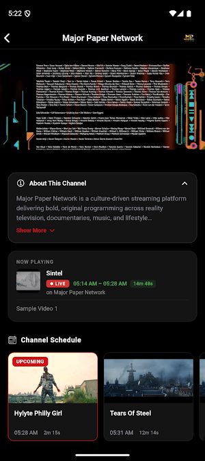 Major Paper Network Screenshot 1