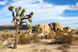 Desert wallpapers Screenshot 2