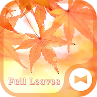Fall Leaves Autumn Theme