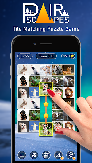 PairScapes: Pair Matching Game Screenshot 0