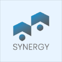 Synergy Leasing Biz