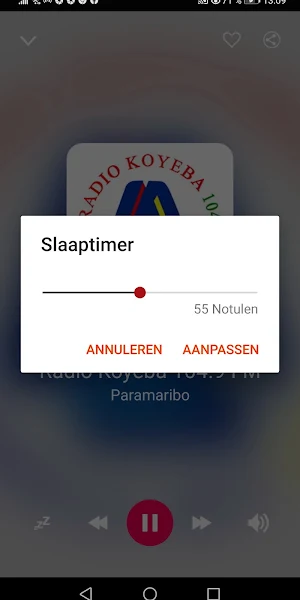 Suriname Radio Stations Screenshot 3