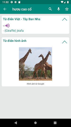 Vietnamese Spanish Dictionary Screenshot 1